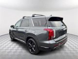 New 2025 Hyundai Palisade XRT image 5