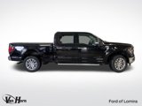 New 2025 Ford F150 XLT image 3