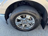 Certified 2021 Ford F150 XLT w/ Equipment Group 302A High image 4