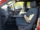New 2025 Ford F150 XLT w/ Equipment Group 302A MID image 5