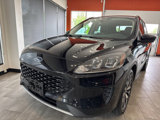Used 2020 Ford Escape SE Sport image 6