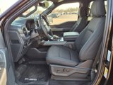 New 2025 Ford F150 XLT w/ Equipment Group 302A MID image 5