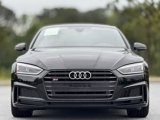 Used 2019 Audi S5 Premium Plus w/ Premium Plus image 2