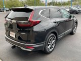 Used 2020 Honda CR-V EX image 5