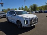 New 2025 Hyundai Palisade Calligraphy image 4