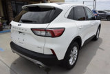 Used 2022 Ford Escape SE w/ Convenience Package image 5