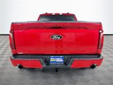 New 2025 Ford F150 XLT w/ Equipment Group 302A MID image 5