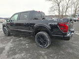 New 2025 Ford F150 Platinum w/ Equipment Group 702A High image 3