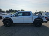New 2025 Ford F150 Raptor image 4