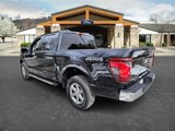 New 2025 Ford F150 XLT w/ Equipment Group 301A Standard image 5