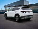 New 2025 Hyundai Tucson Limited image 5