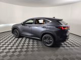 New 2026 Lexus NX 350 AWD w/ Premium Package image 4