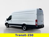 Certified 2023 Ford Transit 250 148 High Roof Extended w/ Load Area Protection Package image 3
