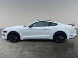 Used 2023 Ford Mustang Coupe image 4