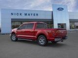 New 2025 Ford F150 XLT w/ Equipment Group 302A MID image 4