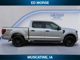 New 2025 Ford F150 STX w/ STX Black Appearance Package image 6
