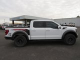 Used 2023 Ford F150 Raptor w/ Blue Interior Package image 6