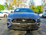 Used 2021 Ford Mustang Premium w/ Equipment Group 201A image 4