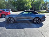 Used 2017 Ford Mustang GT Premium w/ Black Accent Package image 4
