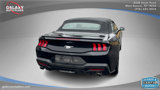 Used 2024 Ford Mustang Premium image 6