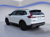 New 2026 Honda CR-V Sport image 3