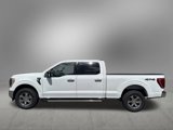 Certified 2023 Ford F150 XLT w/ Equipment Group 302A High image 2