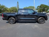 New 2025 Toyota Tundra Platinum image 3