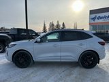 New 2025 Ford Escape ST-Line Elite w/ Premium Technology Package image 3