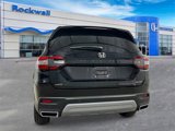New 2025 Honda Pilot Elite image 4