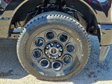 New 2025 Ford F250 Lariat w/ Black Appearance Package image 5