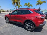 Used 2020 Ford Escape SEL image 5