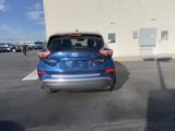 Used 2019 Nissan Murano Platinum image 3