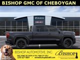 New 2025 GMC Sierra 1500 Elevation image 6