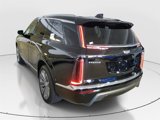 New 2026 Cadillac Vistiq Luxury image 4