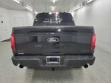 New 2025 Ford F150 XLT w/ Equipment Group 303A High image 5