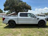New 2025 Ford F150 Platinum image 2