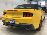 Certified 2024 Ford Mustang Premium image 4