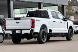 New 2025 Ford F250 XL w/ STX Appearance Package image 3