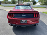 Used 2018 Ford Mustang GT w/ Equipment Group 301A image 6