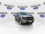 New 2025 Ford F150 XLT w/ Equipment Group 303A High image 3