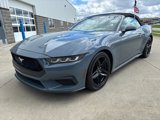 Certified 2024 Ford Mustang Premium image 4