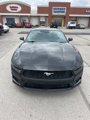 New 2025 Ford Mustang Premium image 3