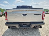 Used 2022 Ford F150 Raptor w/ Convenience Package image 6