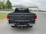 Used 2023 Toyota Tacoma SR5 image 5