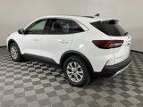 Used 2024 Ford Escape Active image 4