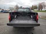 New 2025 Ford F150 XL image 5