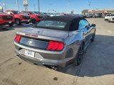 Used 2023 Ford Mustang Premium image 5