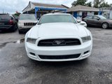 Used 2014 Ford Mustang Premium w/ Equipment Group 202A image 2