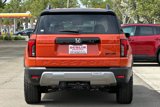 New 2026 Honda Passport TrailSport Elite image 5