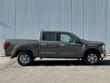 New 2025 Ford F150 XLT w/ Equipment Group 301A Standard image 6